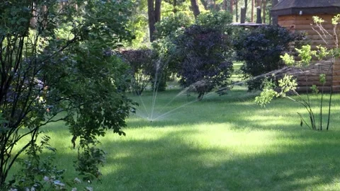 Automatic irrigation. Water jets watering green fresh lawn, bushes and trees 動画素材 146337268