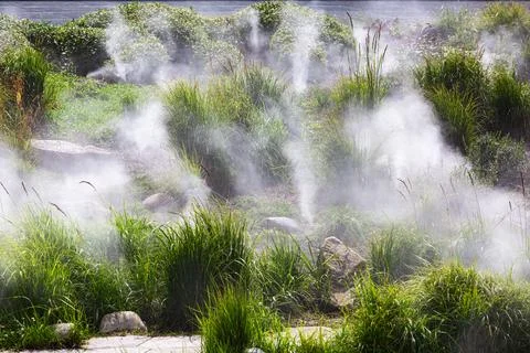 Automatic irrigation with water spraying on the landscape design. Stock Photos