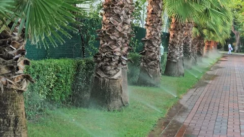 Automatic irrigation watering system lawn grass care Stock Footage 166631009