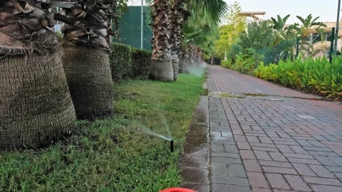 Automatic irrigation watering system lawn grass care Stock Footage 166631229