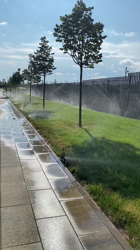 Automatic lawn irrigation system. Care for a green lawn, watering in dry weather Stock Footage 282185181