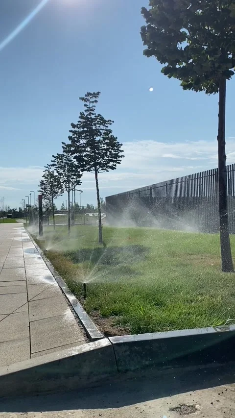 Automatic lawn irrigation system. Care for a green lawn, watering in dry weather Stock Footage 284413161