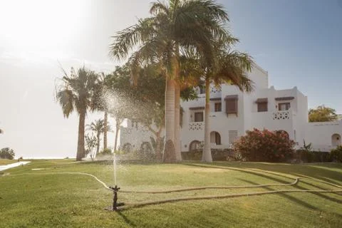 Automatic lawn irrigation system in the park. sprinkling the grass and plants Stock Photos