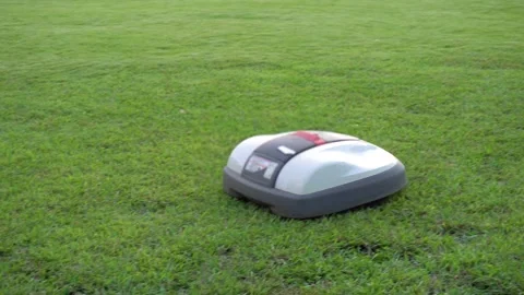 Automatic Lawn Mower Cutting Grass in Public Park in Tokyo, Japan Stock Footage 269150399