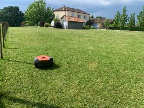 Automatic lawn mower robot moves on the grass, lawn. side view from above, copy Stockfoto's