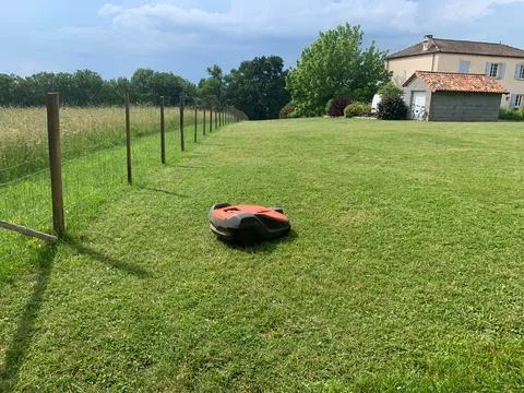 Automatic lawn mower robot moves on the grass, lawn. side view from above, copy Foto stock