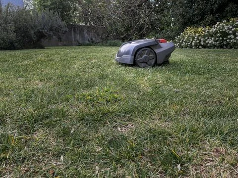 Automatic lawn robot mower drives up to the grass slope, lawn. Close up side  Stock Photos