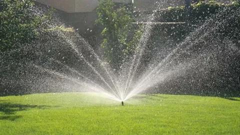 Automatic lawn sprinkler in action watering green grass in summer on the lawn Stock Footage 229727447