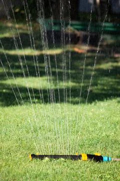 Automatic lawn sprinkler spraying streams of water on green grass Stock Photos