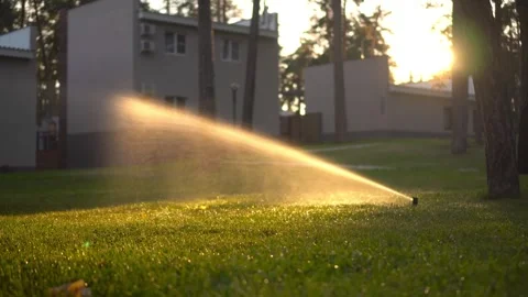 Automatic lawn sprinkler at sunset. Watering the lawn on the site. Stock Footage 245581032