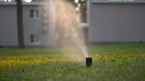 Automatic lawn sprinkler at sunset. Watering the lawn on the site. Slow motion. Stockbeeldmateriaal 246048194