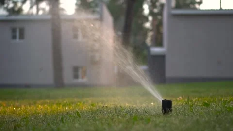 Automatic lawn sprinkler at sunset. Watering the lawn on the site. Slow motion. Stock Footage 246356535