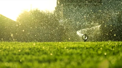 Automatic lawn watering drops of water. Selective focus. Stock Footage 219692865