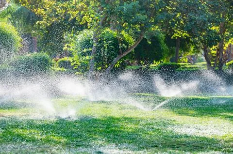 Automatic lawn watering Foto stock