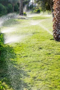 Automatic lawn watering Stock Photos