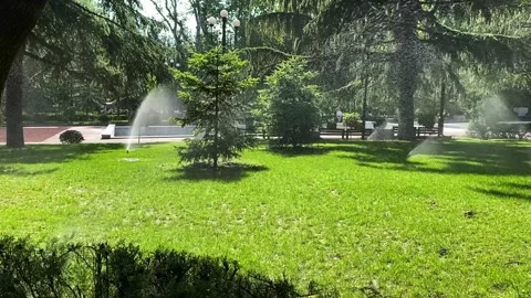 Automatic lawn watering system in a city park. Stock Footage 243209111