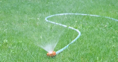 Automatic lawn watering system. Grass irrigation Stock Footage 207021171