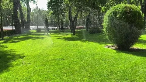 Automatic lawn watering system with green grass in a city park. Stock Footage 244033953