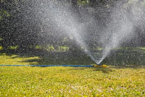Automatic lawn watering system in operation in summer Stock Photos