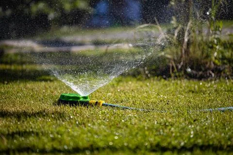 Automatic lawn watering system in operation in summer Foto stock