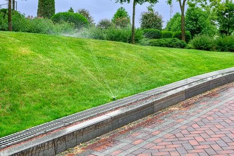 Automatic lawn watering system in the park with plants. Stock Photos