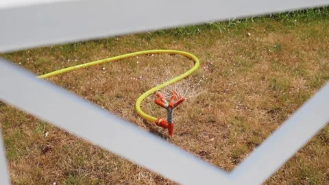 The automatic lawn watering system sprays water around Stock Footage 305834929