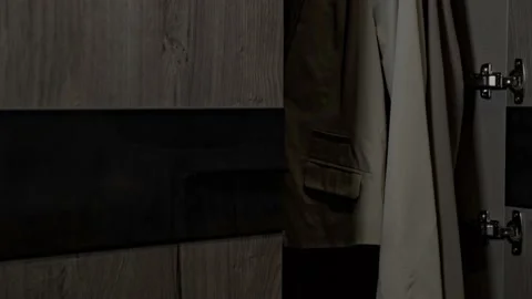 Automatic lighting in a stylish closet Vidéo 179036766