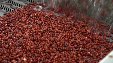 Automatic line for the canning industry.Preserving of Vegetables and Beans Stock Footage 67258029