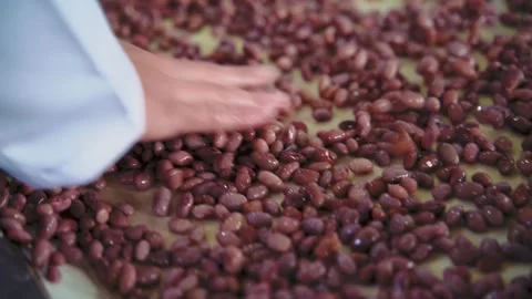 Automatic line for the canning industry.Preserving of Vegetables and Beans Stock Footage 165835068