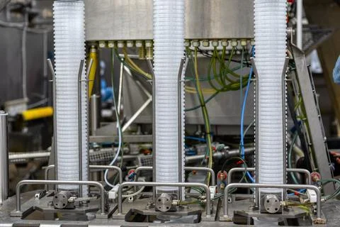 Automatic line for packing seafood. Stacking seaweed and pouring brine into Stock Photos