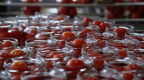 Automatic Line for Processing and Canning Vegetables . Preserving Tomatoes 4 Stock Footage 67206419
