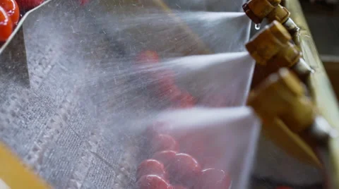 Automatic Line for Processing and Canning Vegetables . Preserving Tomatoes 10 Stock Footage 67208157