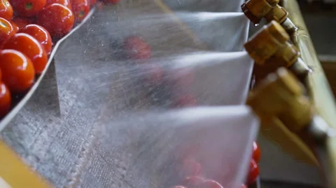 Automatic Line for Processing and Canning Vegetables . Preserving Tomatoes 12 Stock Footage 67210525