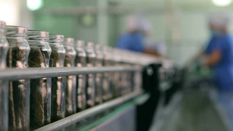 Automatic Line for Processing of Canned Vegetables . Stock Footage 123787526