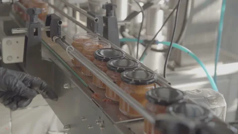 Automatic Line for Processing of Canned Vegetables. Manufacturer Of Eggplant 스톡 동영상 167418928