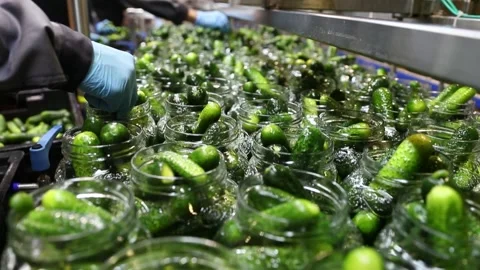 Automatic line for processing vegetables. canned cucumbers. Video stock 202895138