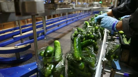 Automatic line for processing vegetables. canned cucumbers Video stock 202895560