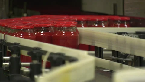 Automatic Line for Processing of Vegetables Stock Footage 162556808