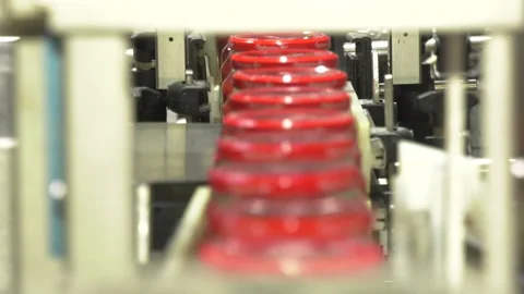 Automatic Line for Processing of Vegetables Stock Footage 162557138