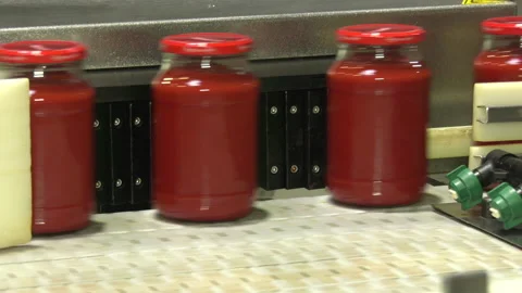 Automatic Line for Processing of Vegetables Stock Footage 162557666