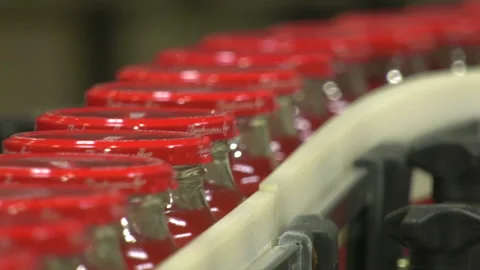 Automatic Line for Processing of Vegetables Stock-Footage 162557853