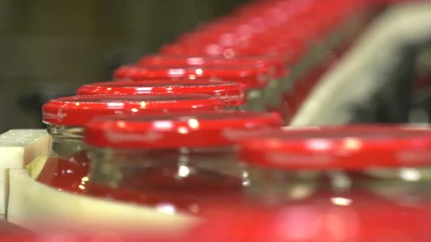 Automatic Line for Processing of Vegetables Stock Footage 162558095