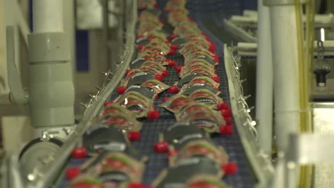 Automatic Line for Processing of Vegetables Stock-Footage 162558299