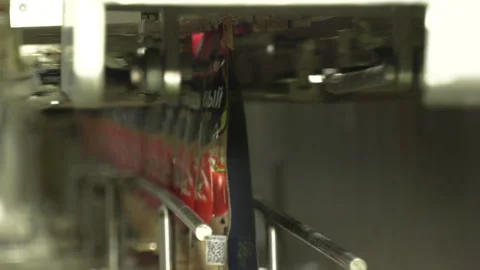 Automatic Line for Processing of Vegetables Stock Footage 162558544