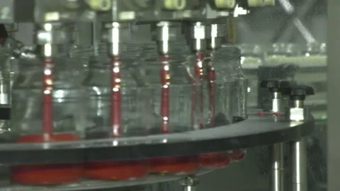 Automatic Line for Processing of Vegetables Stock Footage 162558726