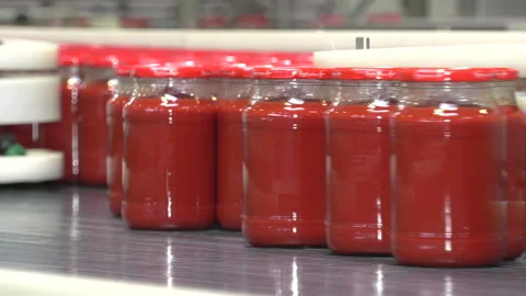 Automatic Line for Processing of Vegetables Stock-Footage 162559969