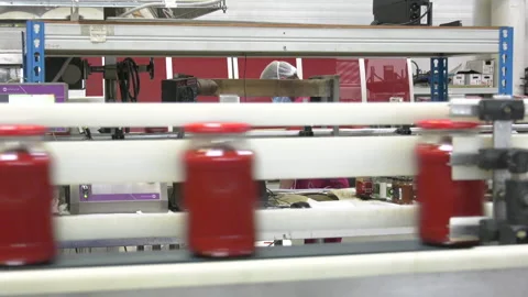 Automatic Line for Processing of Vegetables Stock Footage 162560130