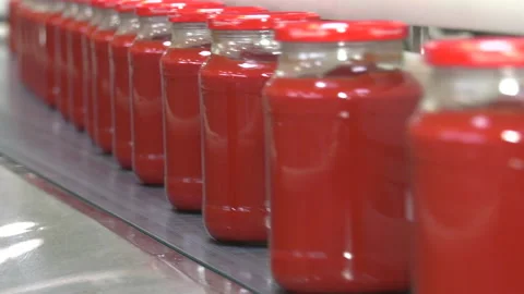 Automatic Line for Processing of Vegetables Video stock 162560351