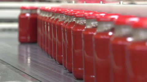 Automatic Line for Processing of Vegetables Stock Footage 162560533