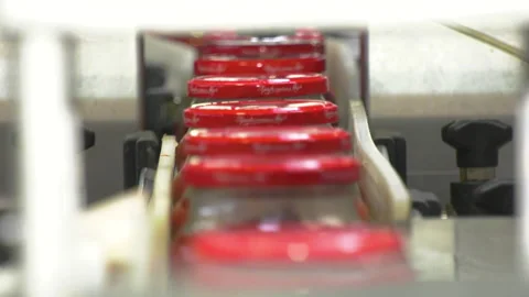 Automatic Line for Processing of Vegetables Stock-Footage 162561155